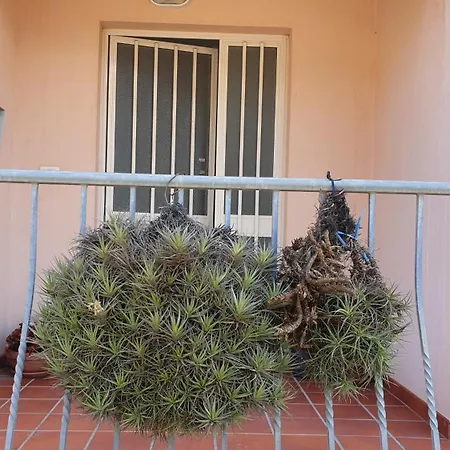 B&B Blueberry Via Capri Porto Frailis