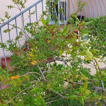 Blueberry Via Capri Porto Frailis Bed & Breakfast 3*